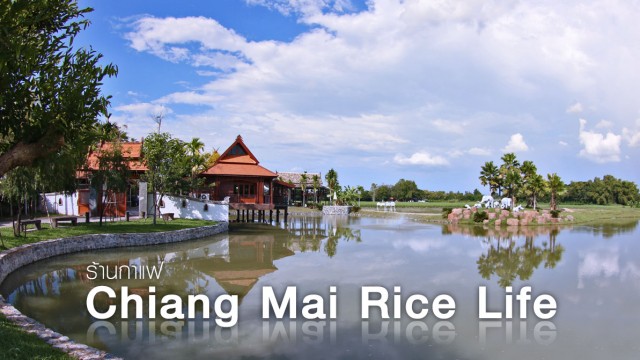 ร้านกาแฟวิถี “เศรษฐกิจพอเพียง” ที่ Chiangmai Rice Life