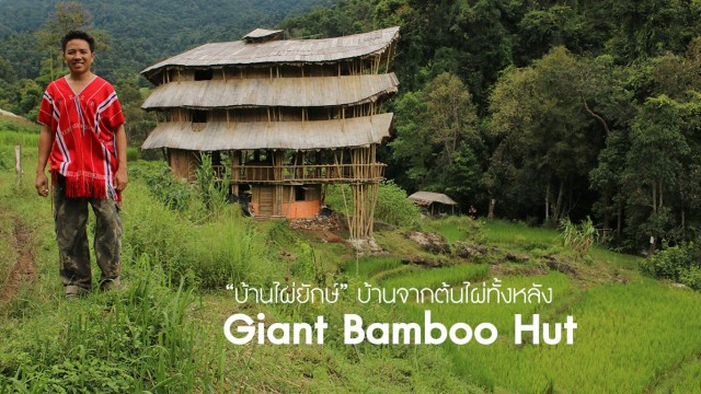 ชวนไปนอนบ้านจากไม้ไผ่ ที่ Giant Bamboo Hut